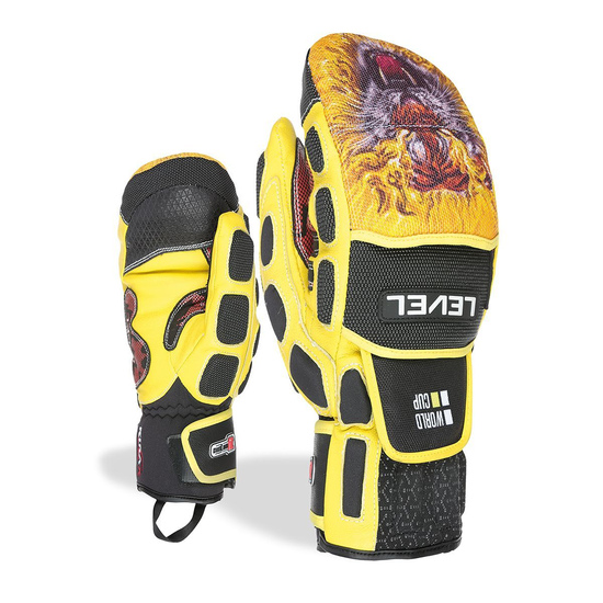 Worldcup CF Mitten